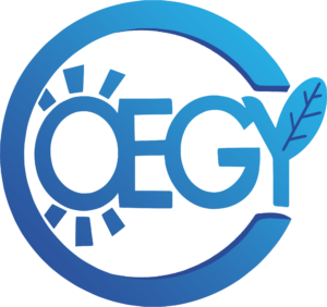 Coegy Pro logo bleu